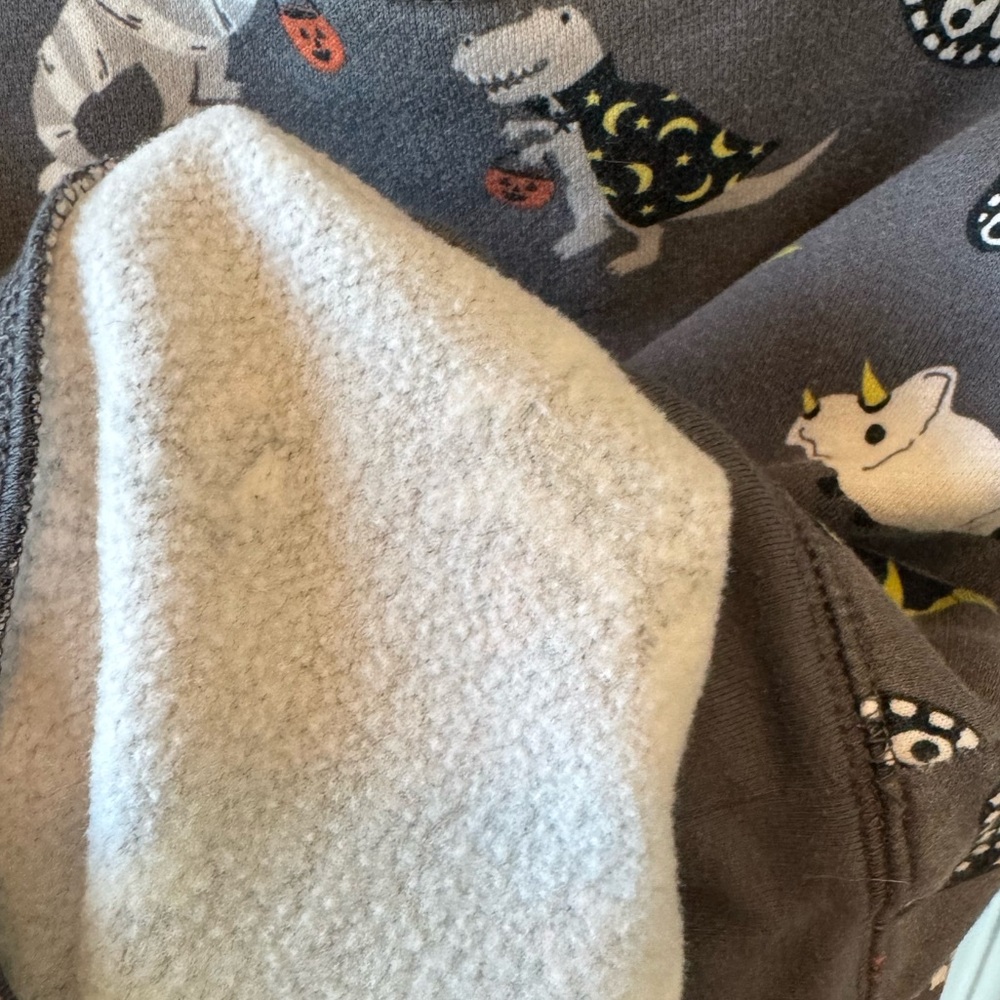 Carter’s Dinosaur Print Gray Kids Sweatshirt 4T Halloween - Picture 4 of 5